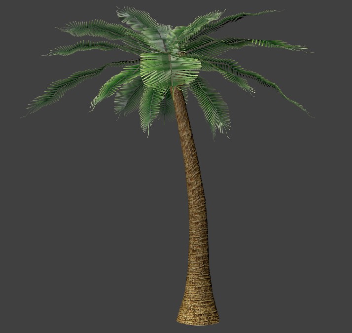 Palm Tree  Cycles Ready  preview image 1